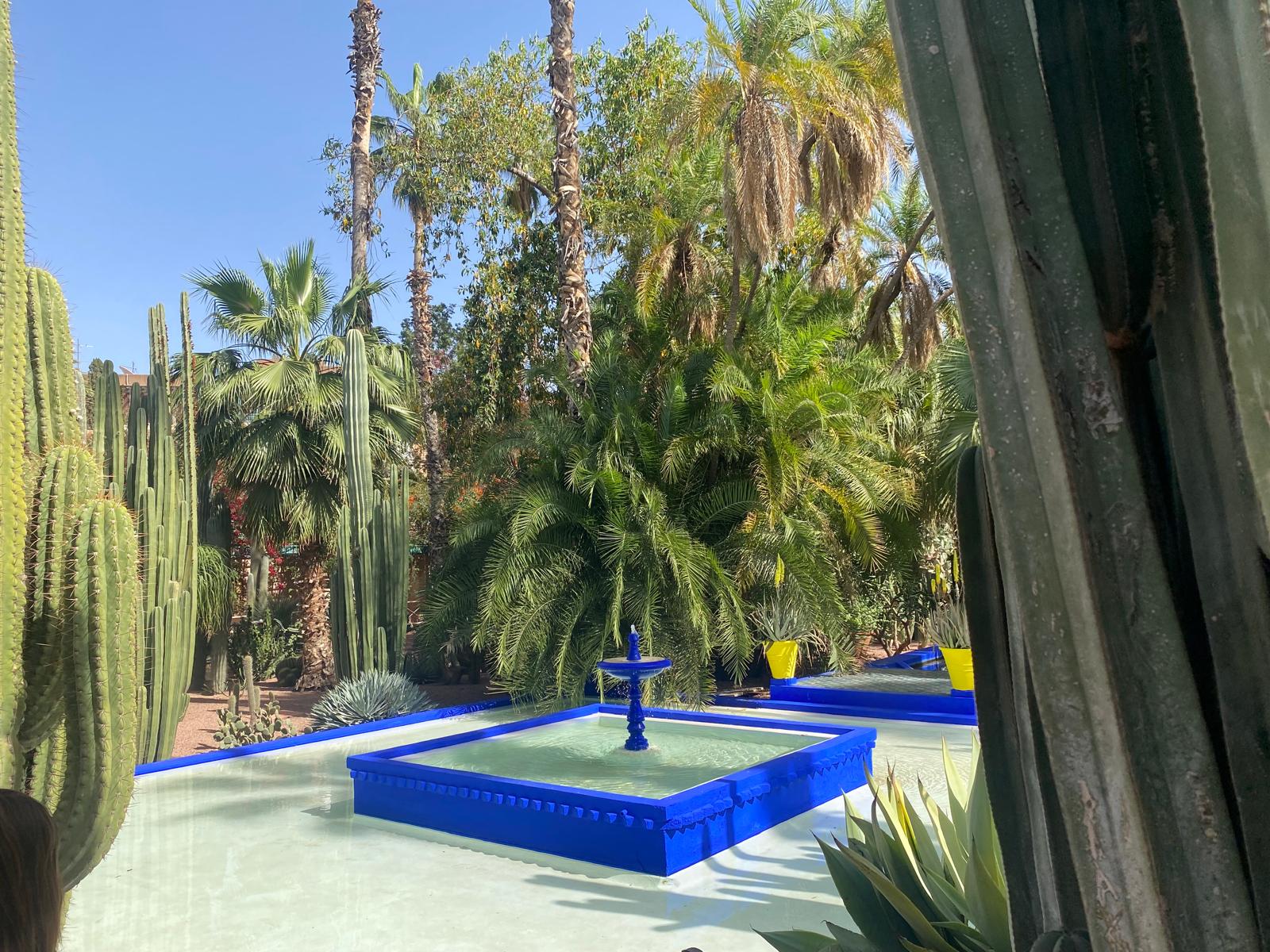 Where your breath takes you: Falling Into the Rhythm of Marrakech